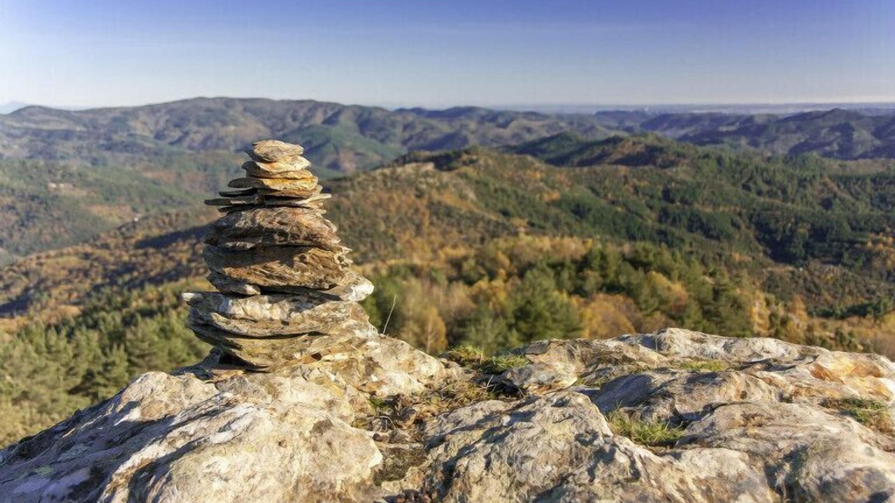 Photo of Others in Collias