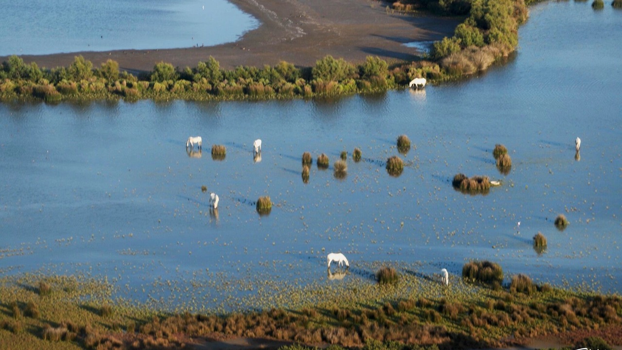 Photo of Others in Mouries