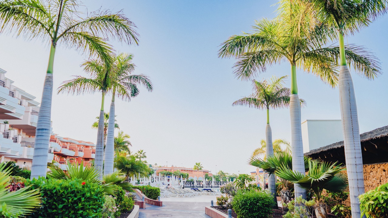 Photo of Outdoor in Puerto de Santiago