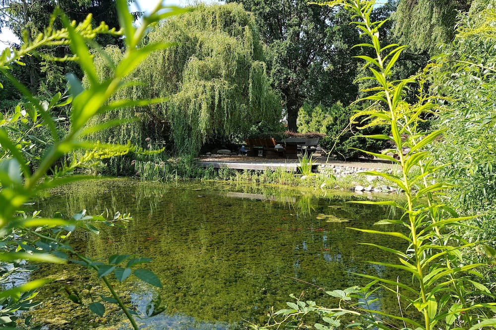 Photo of Outdoor in Plaue