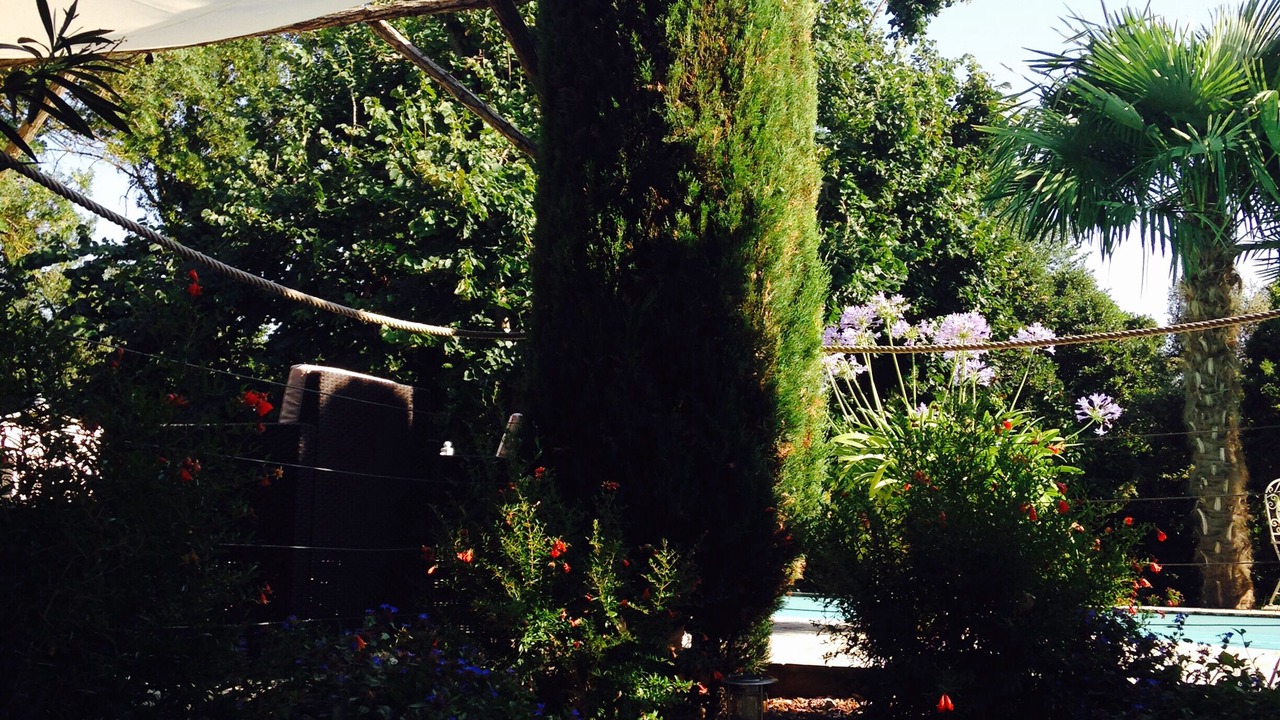 Photo of Outdoor in Alzonne