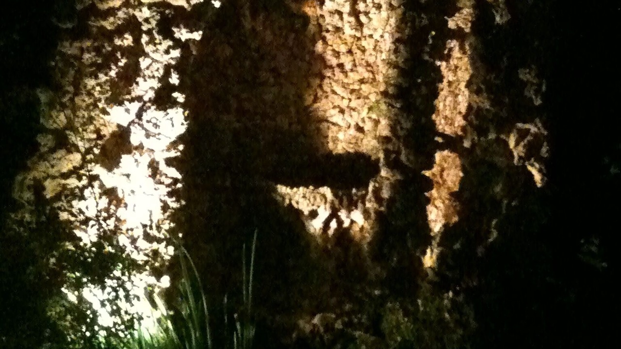 Photo of Outdoor in Alzonne