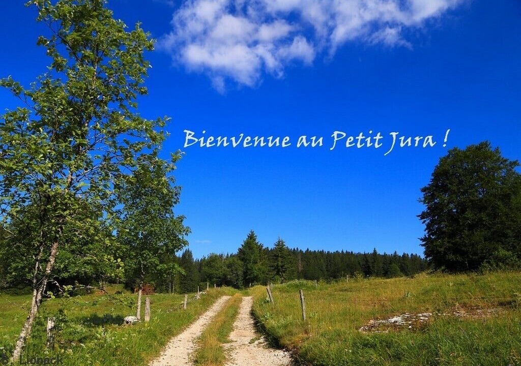 Photo of Outdoor in Morbier