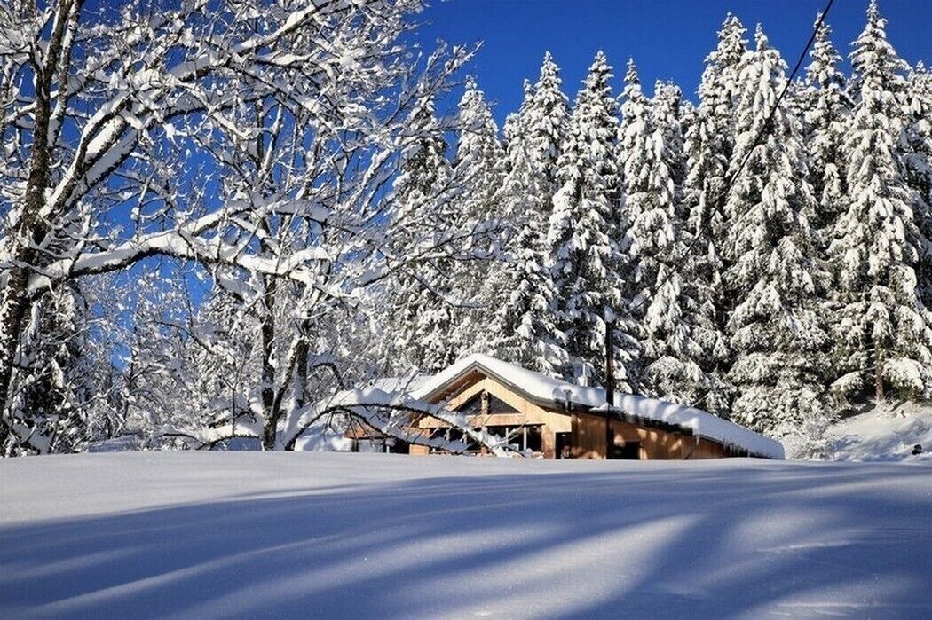 Photo of Outdoor in Morbier