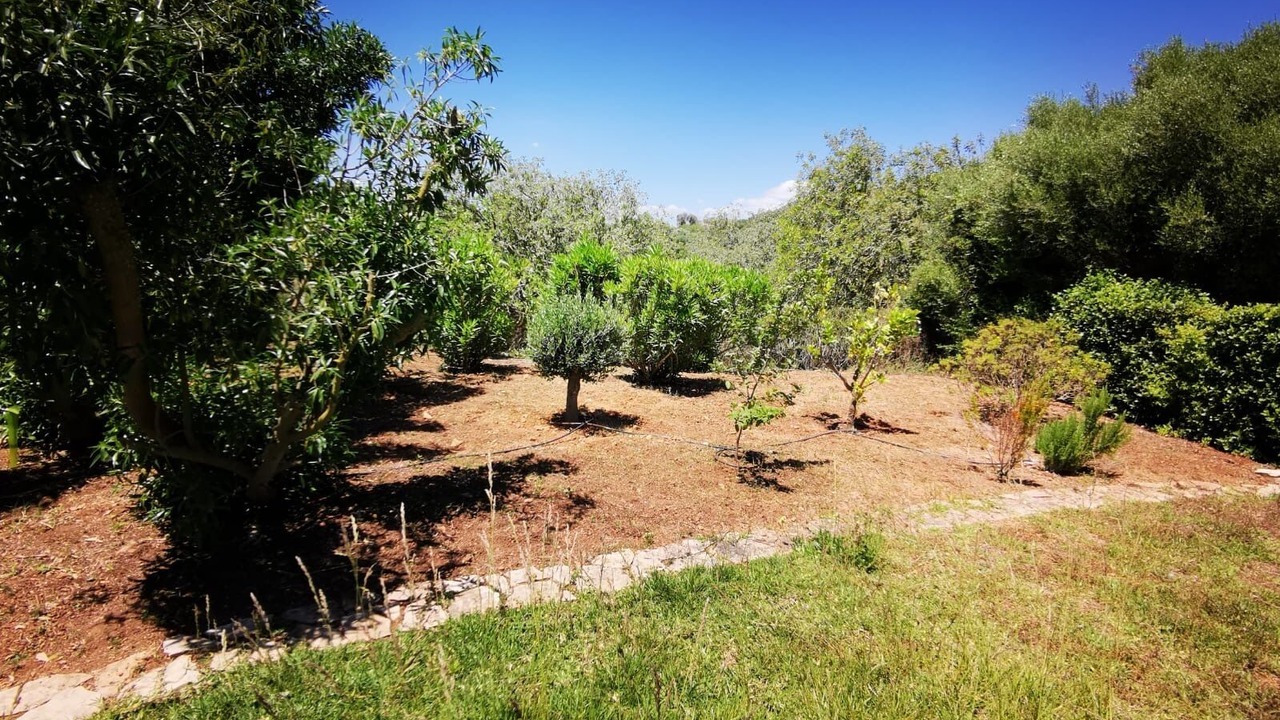 Photo of Outdoor in Son Antem