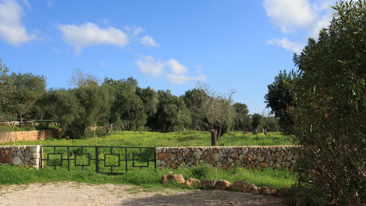 Photo of Outdoor in Son Antem