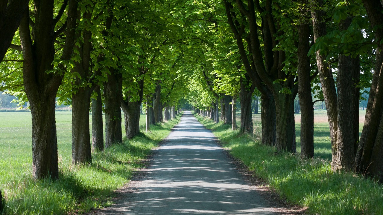 Photo of Outdoor in Moerfelden-Walldorf
