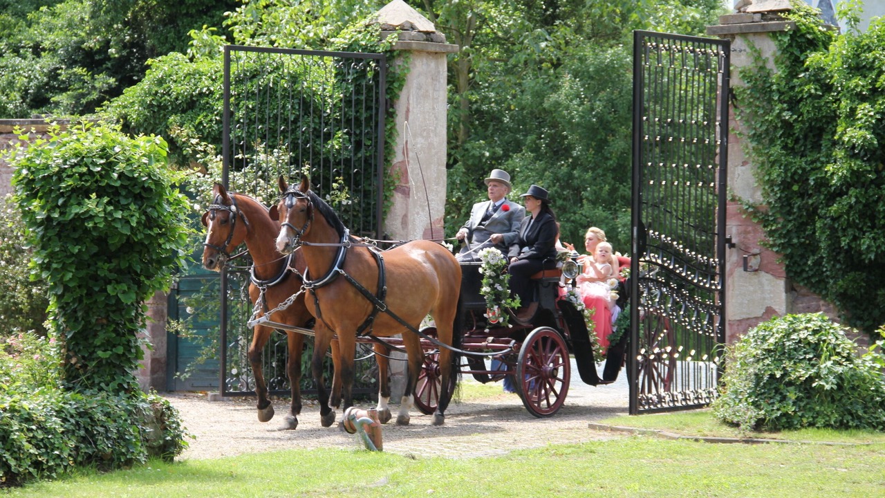 Photo of Outdoor in Moerfelden-Walldorf