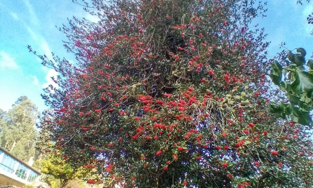 Photo of Outdoor in Ponteareas