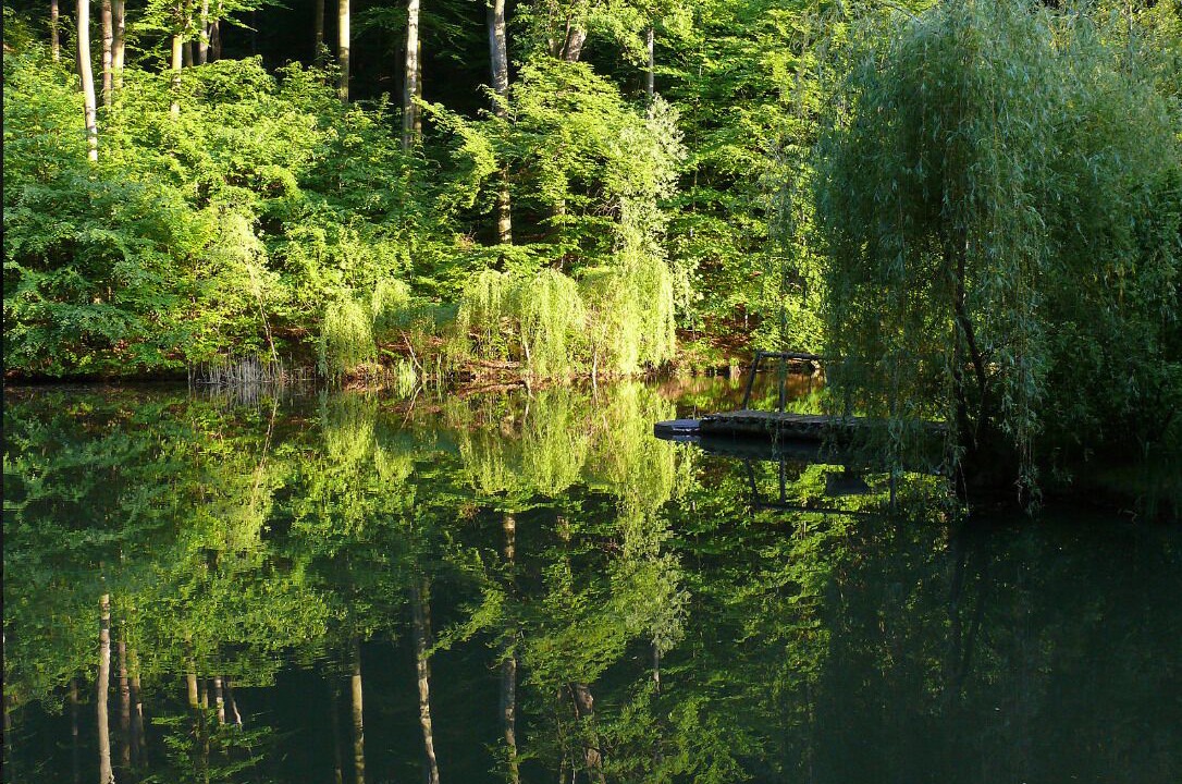 Photo of Outdoor in Stetten