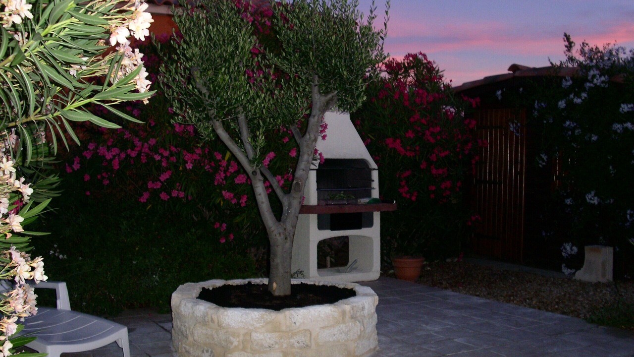 Photo of Outdoor in Saint-Laurent-d'Aigouze