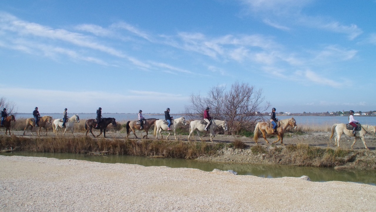 Photo of Others in Saint-Laurent-d'Aigouze