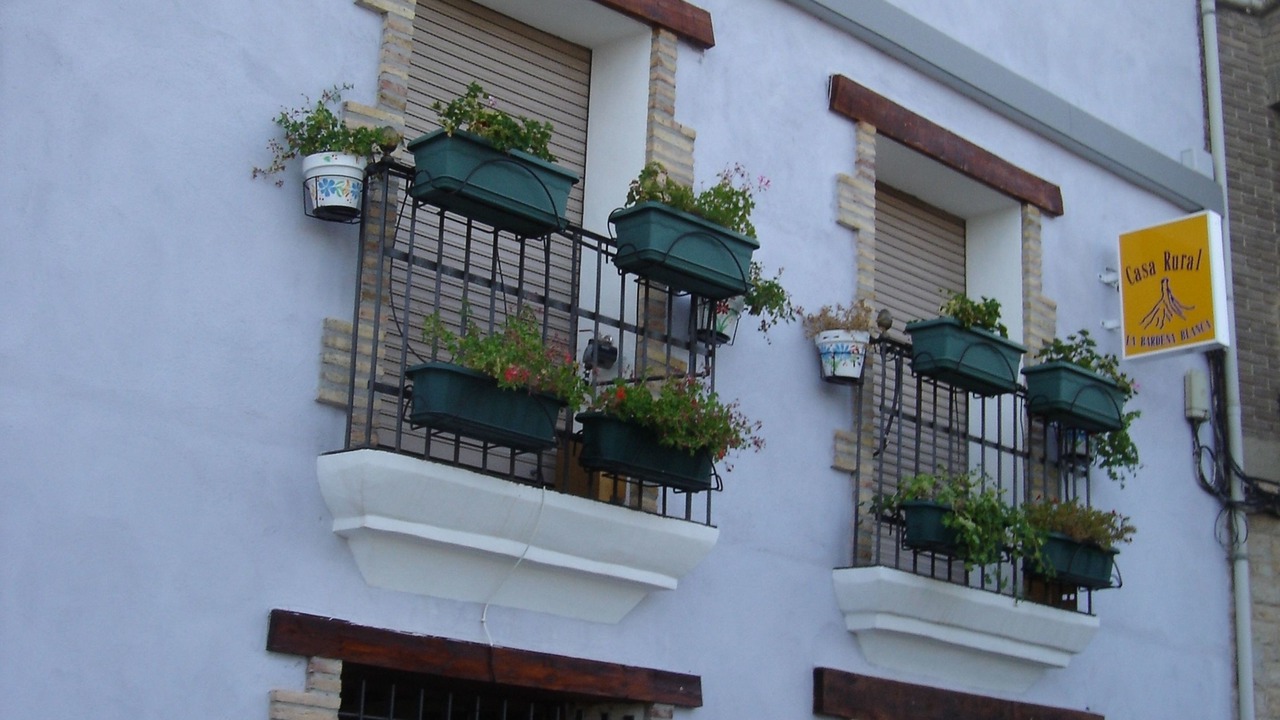 Photo of Outdoor in Arguedas