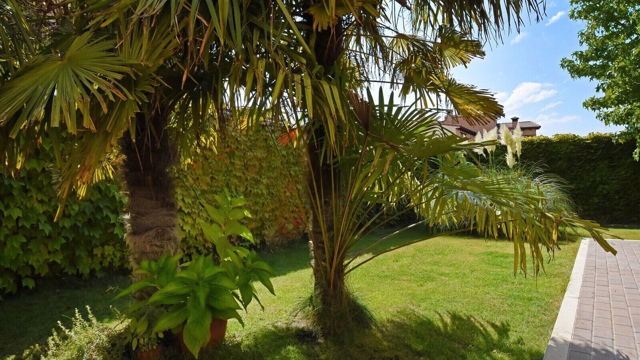 Photo of Outdoor in Nava de la Asuncion