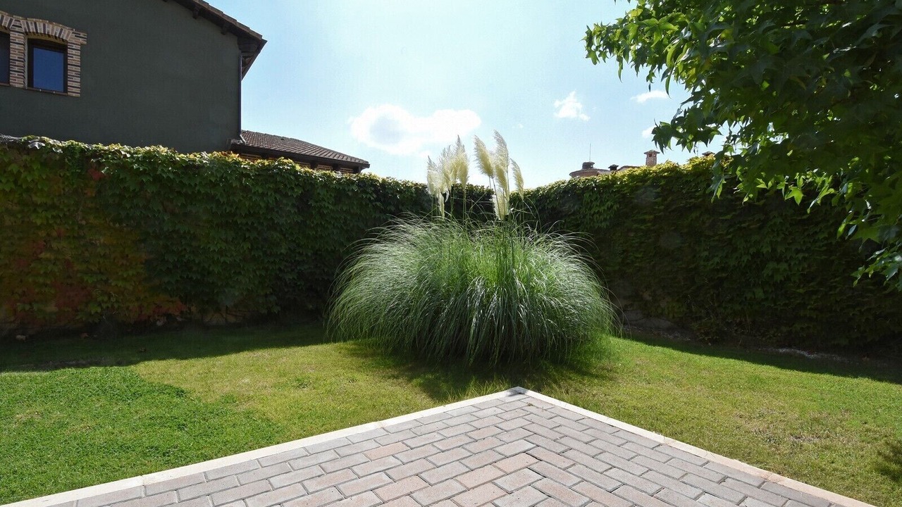 Photo of Outdoor in Nava de la Asuncion