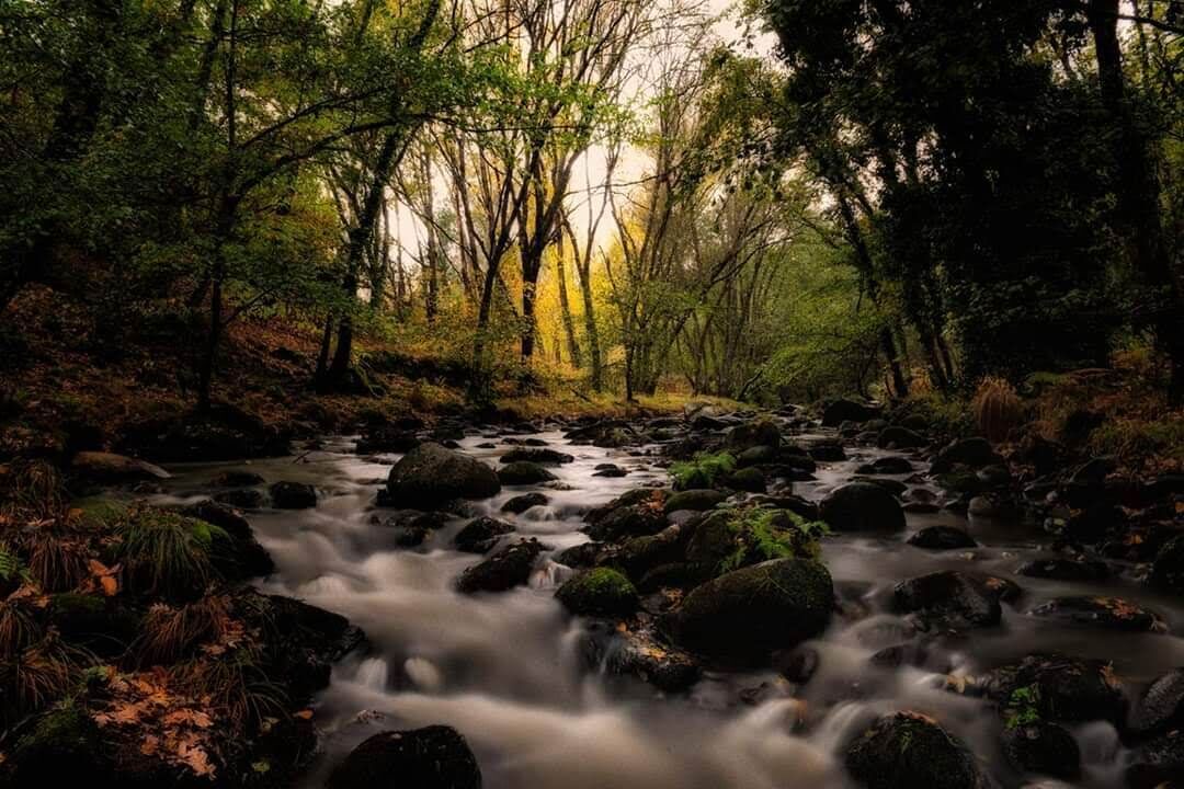 Photo of Outdoor in Cuacos de Yuste