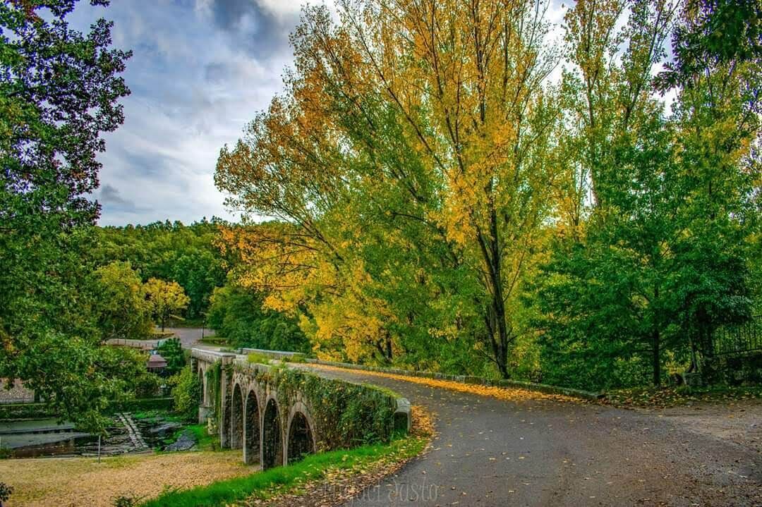 Photo of Outdoor in Cuacos de Yuste