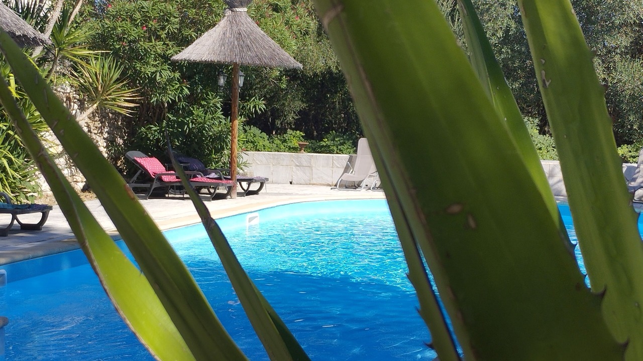 Photo of Outdoor in Saint-Genies-de-Malgoires
