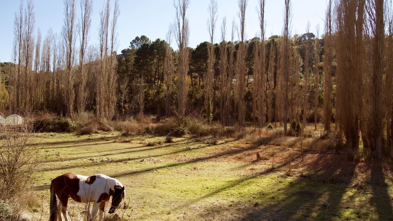 Photo of Outdoor in Hueva