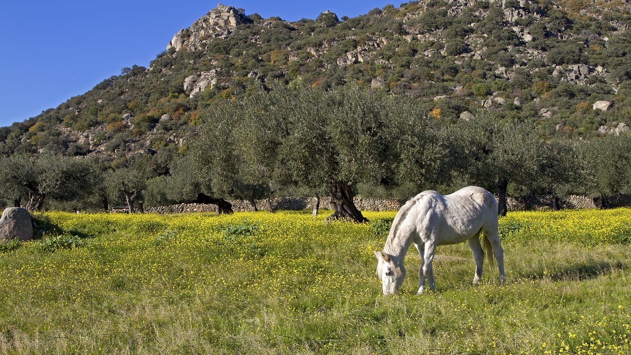 Photo of Outdoor in Arroyomolinos de Montanchez