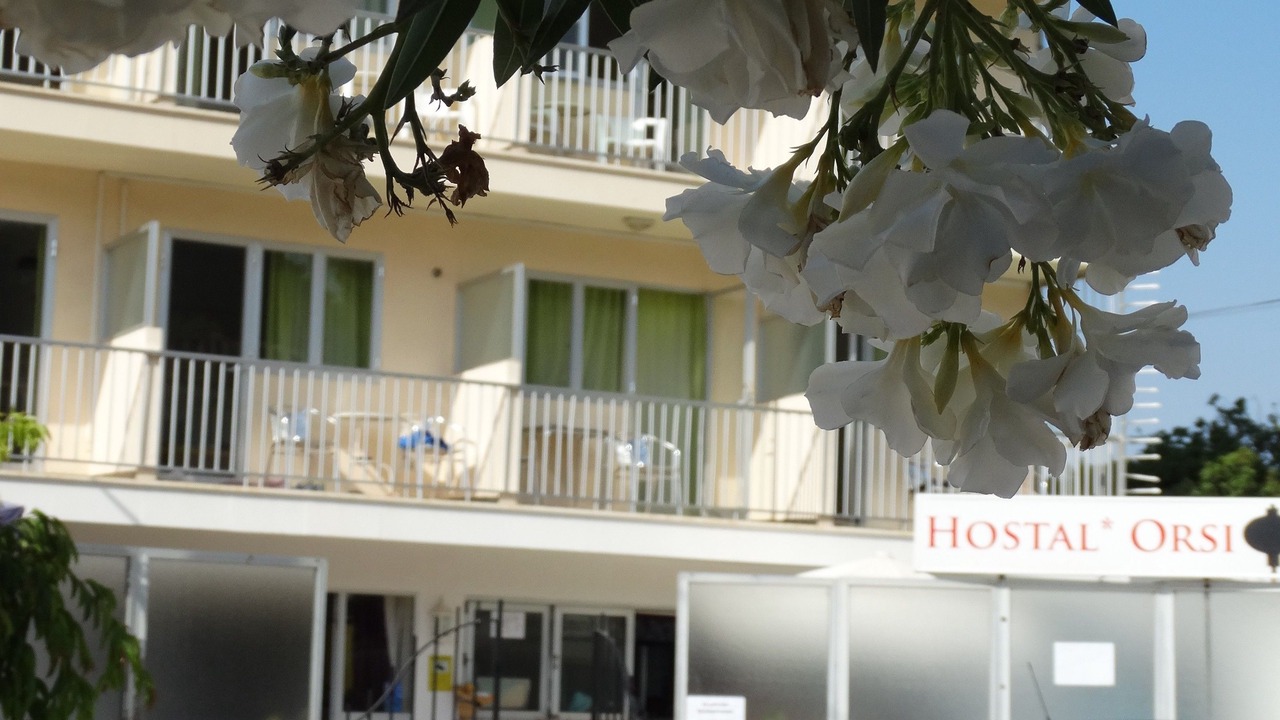 Photo of Outdoor in Ses Cadenes