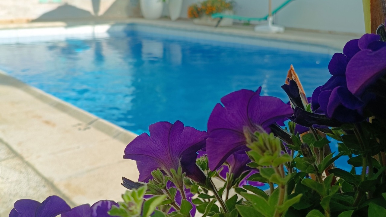 Photo of Patio Balcony in Ses Cadenes