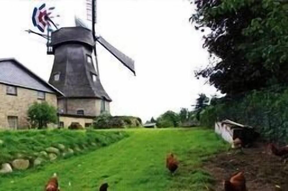 Photo of Outdoor in Gross Wittensee