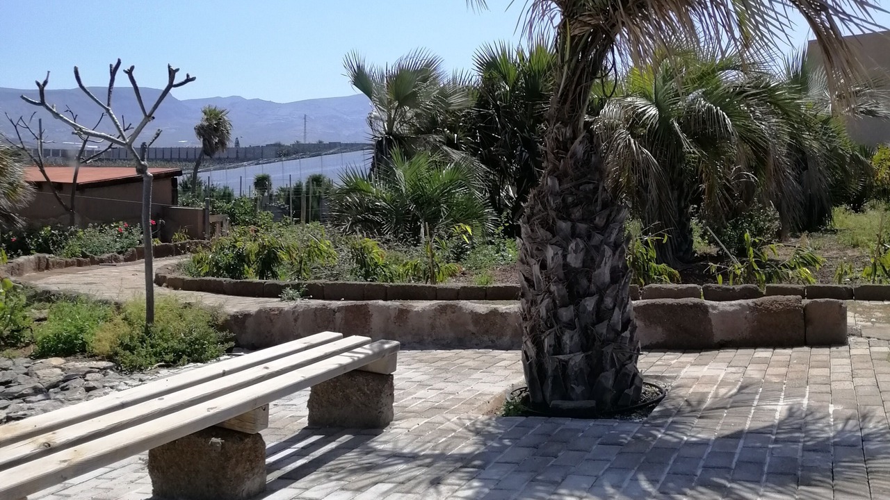 Photo of Outdoor in Galdar