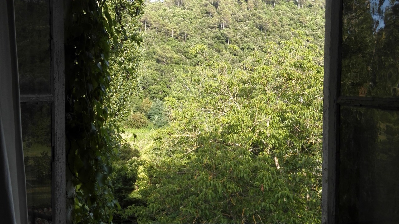 Photo of Bedroom in Generargues