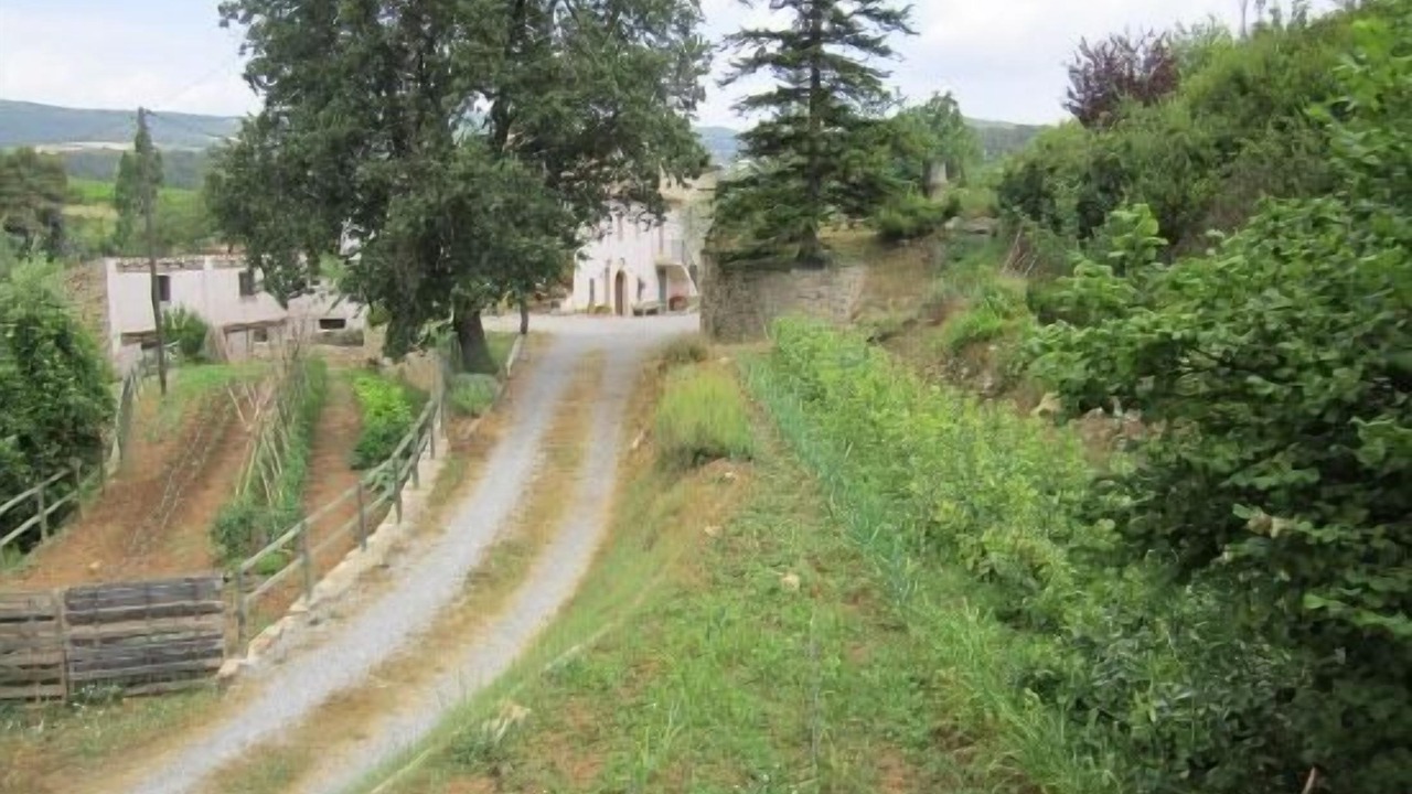 Photo of Outdoor in Pontons