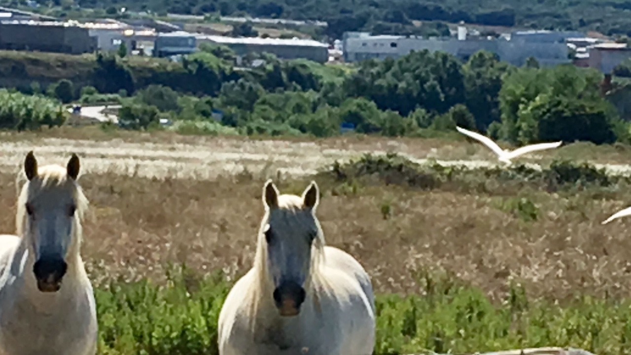 Photo of Outdoor in Montbazin