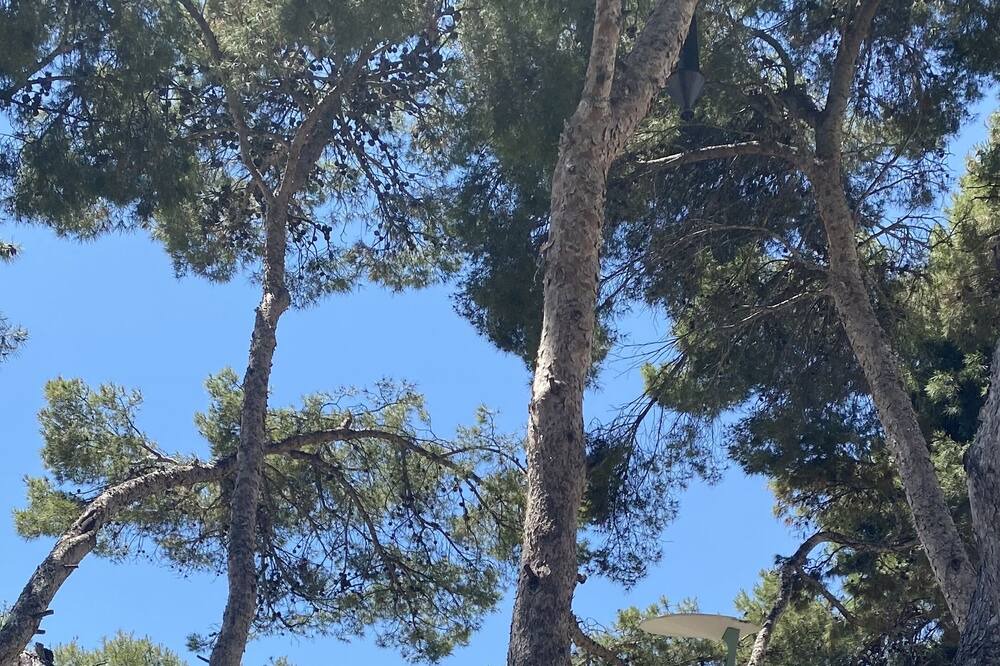 Photo of Outdoor in Alcossebre