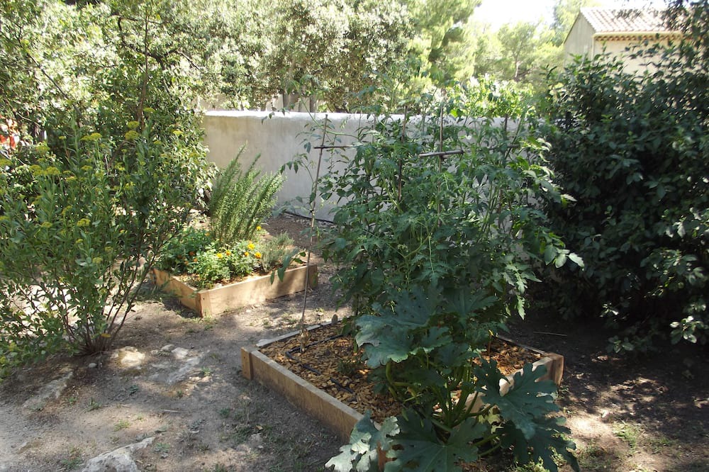 Photo of Outdoor in Salon-de-Provence