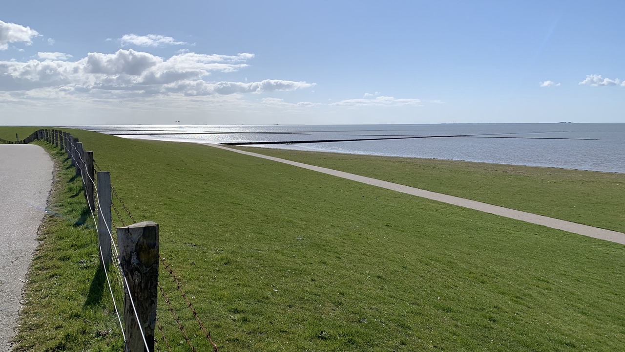 Photo of Others in Ockholm