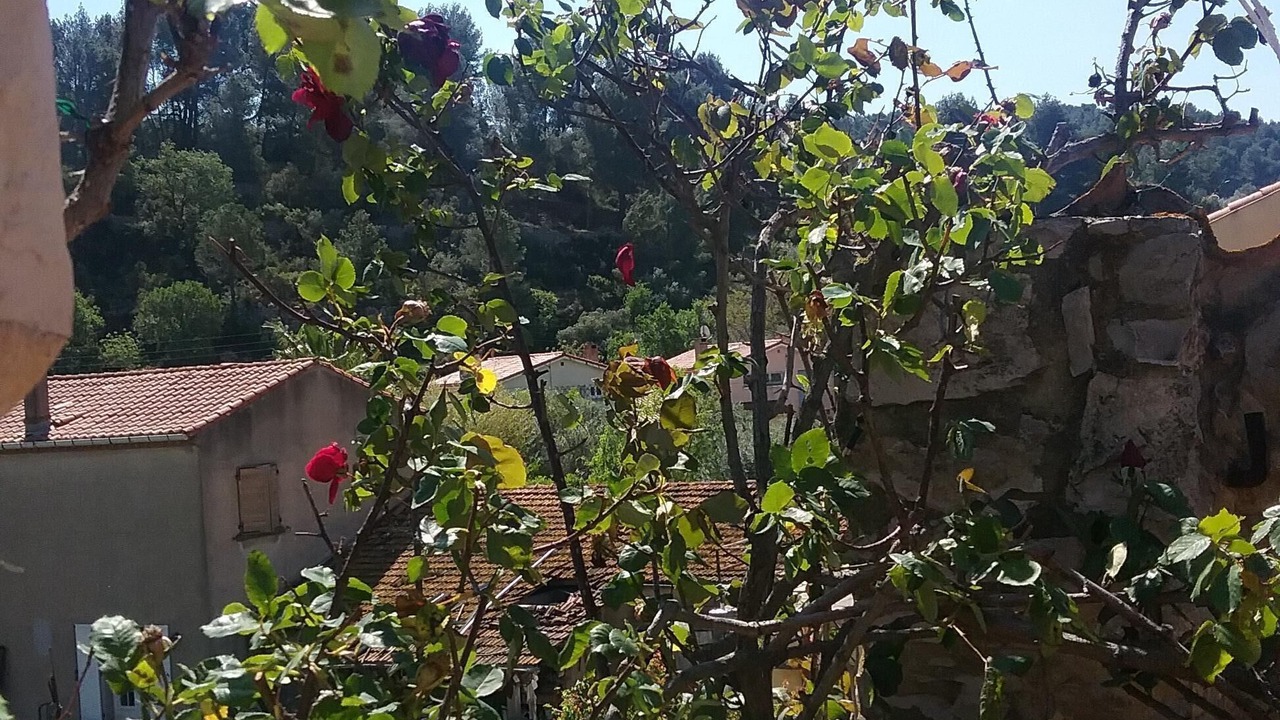 Photo of Outdoor in Bize-Minervois