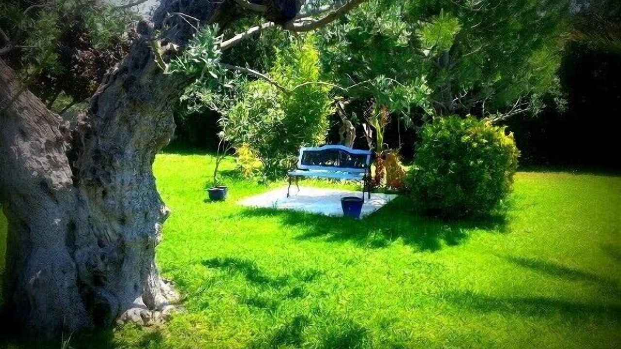 Photo of Outdoor in Beaucaire