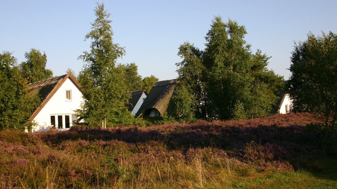 Photo of Outdoor in Hiddensee