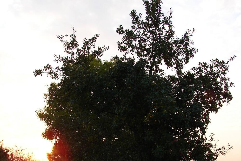 Photo of Outdoor in Welzin