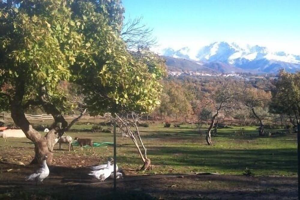 Photo of Outdoor in Valverde de la Vera