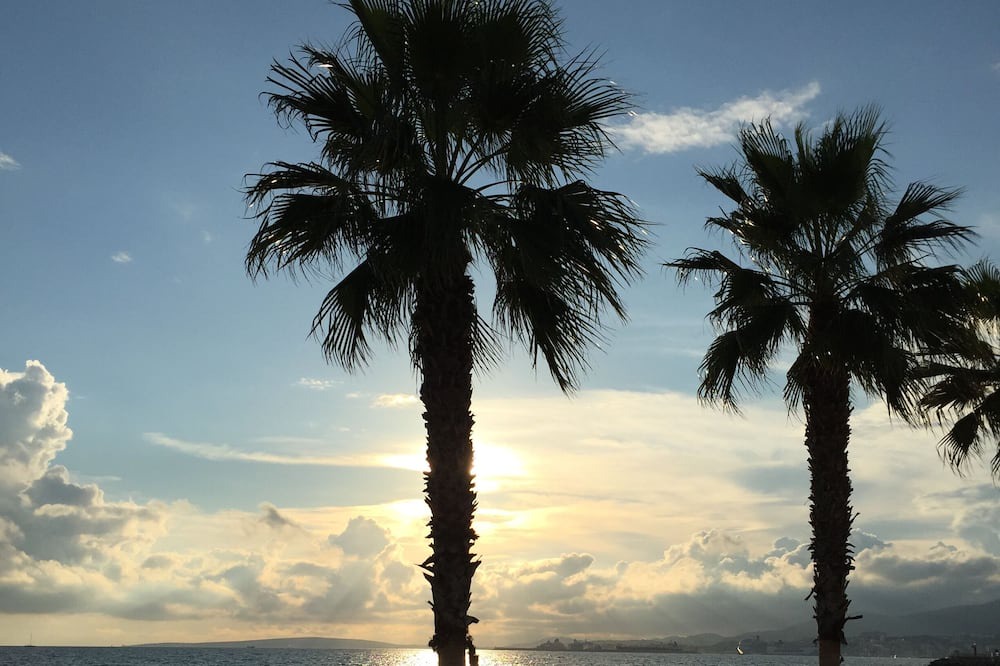 Photo of Outdoor in El Molinar