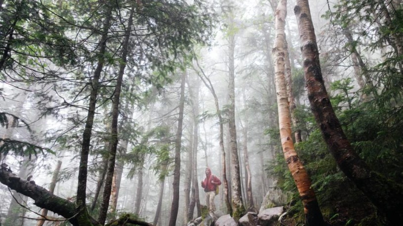 Photo of Outdoor in Oberharz am Brocken