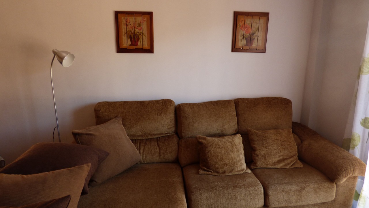 Photo of Others in Camarena de la Sierra