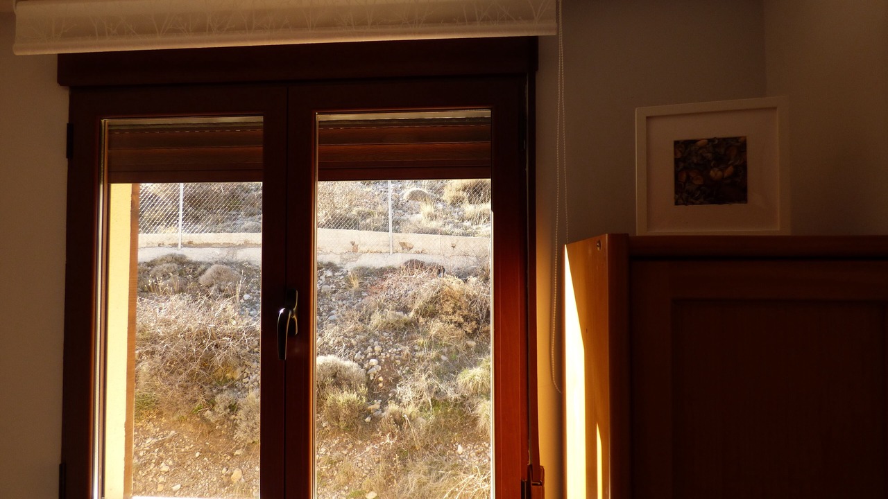 Photo of Others in Camarena de la Sierra