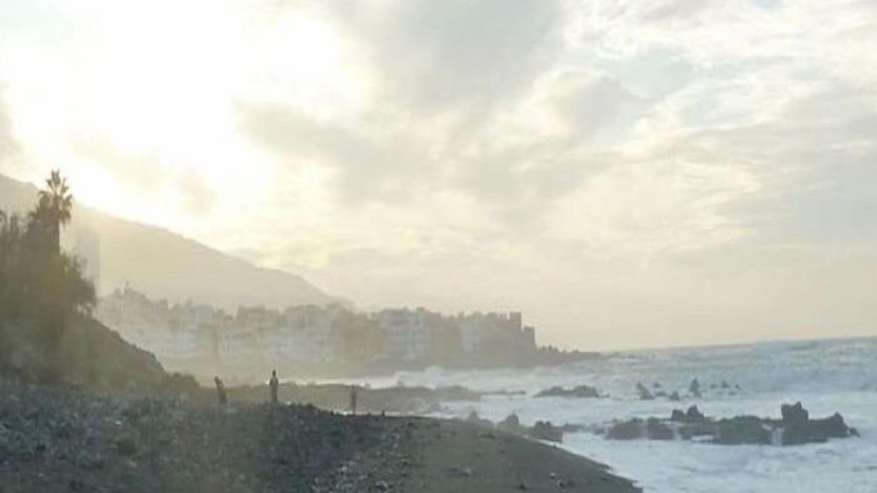 Photo of Others in La Orotava