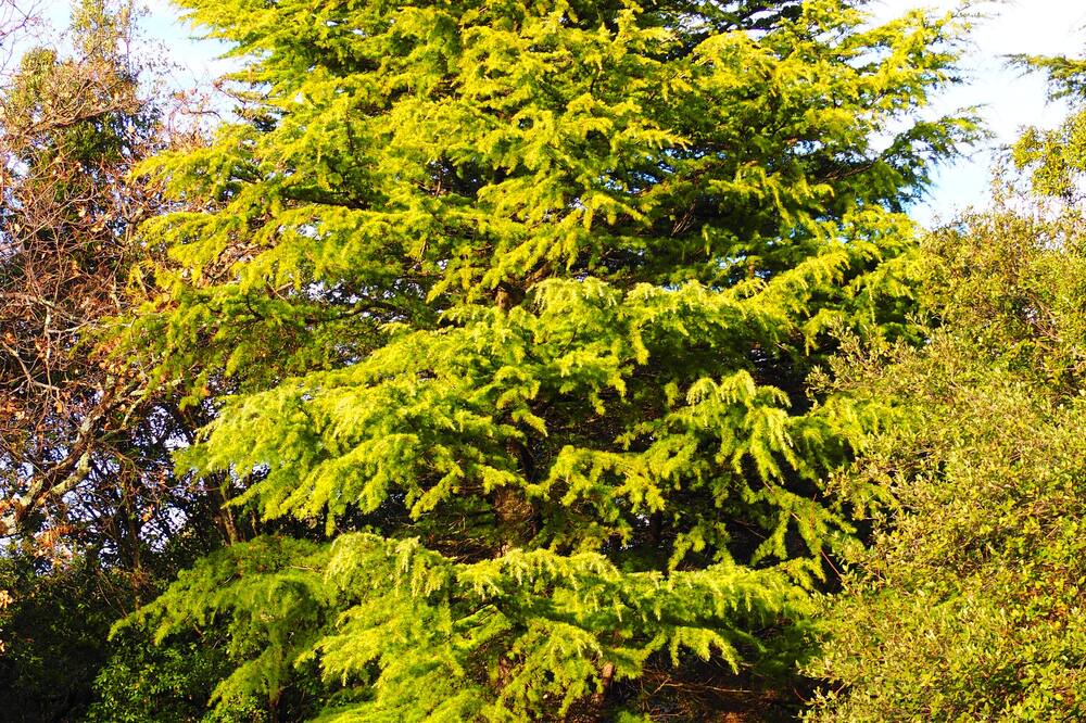 Photo of Outdoor in Labastide-de-Virac