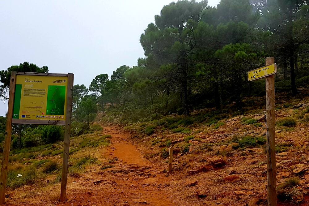 Photo of Outdoor in Urbanizacion Puerto de Estepona