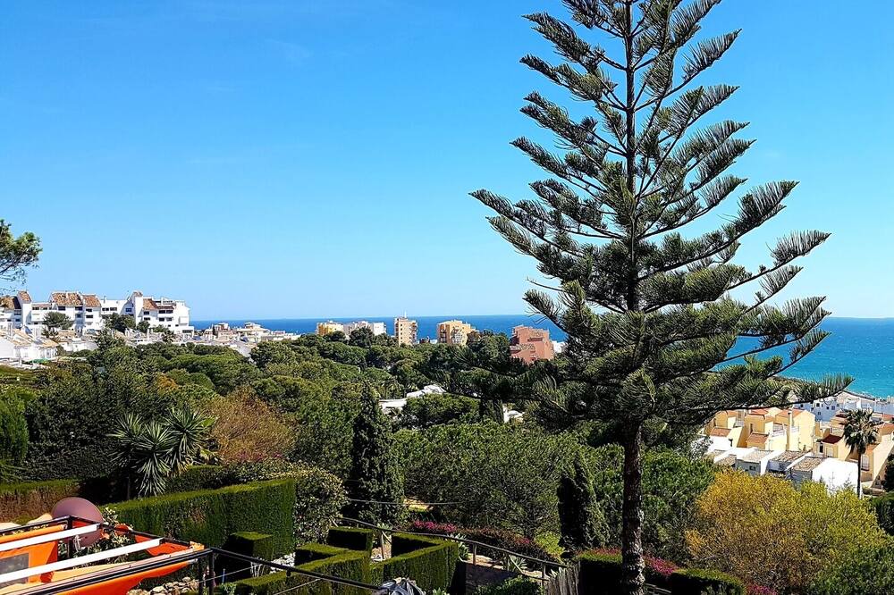 Photo of Others in Urbanizacion Puerto de Estepona