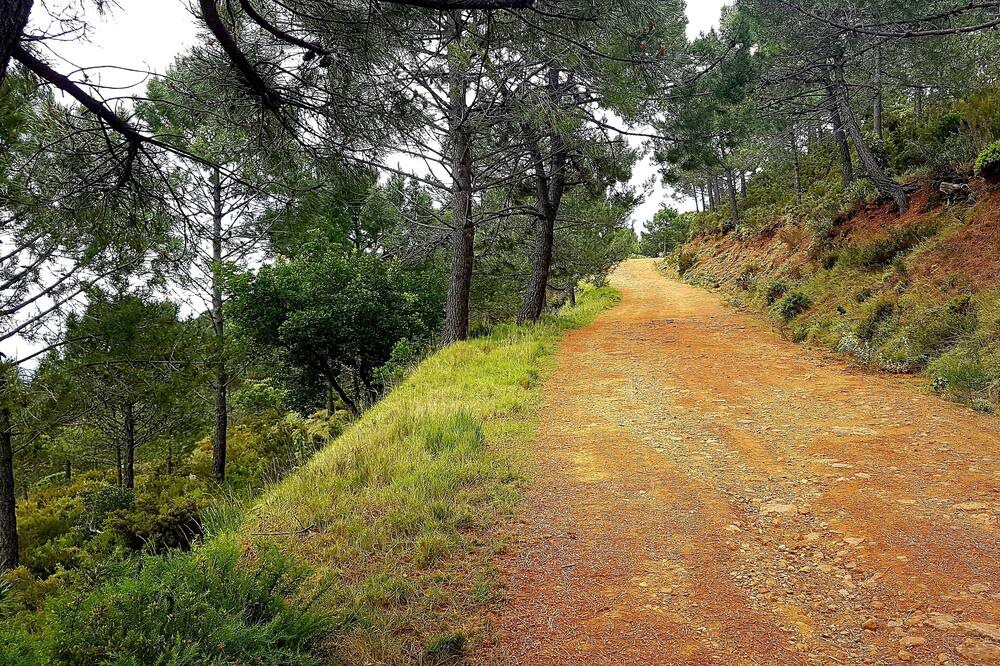 Photo of Outdoor in Urbanizacion Puerto de Estepona