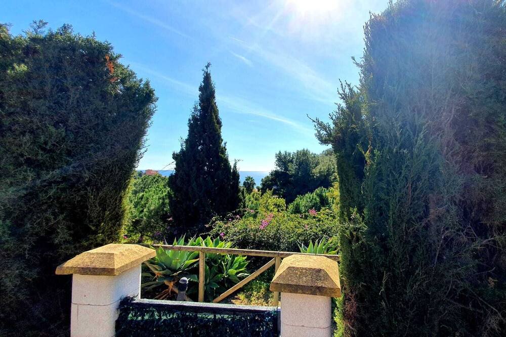 Photo of Others in Urbanizacion Puerto de Estepona