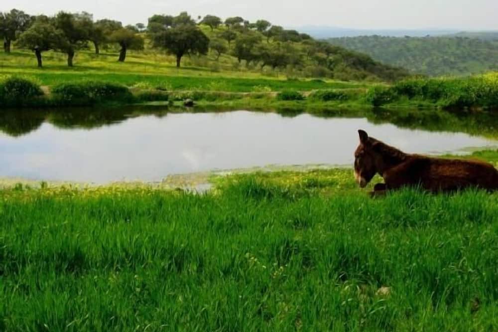Photo of Outdoor in Atalaya